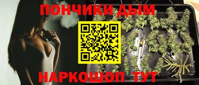 прущие грибы Моздок