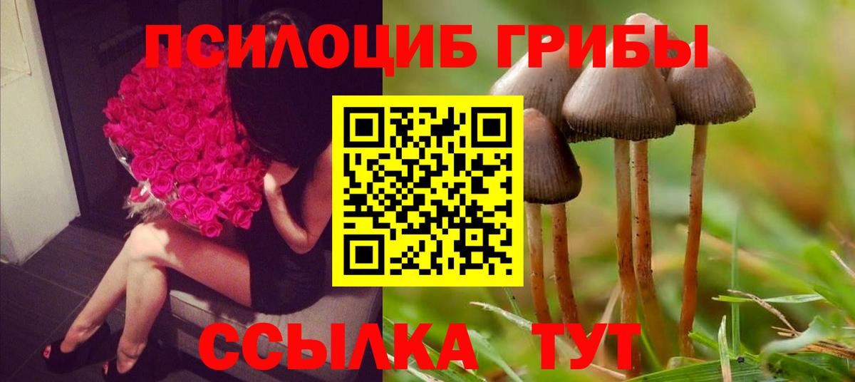 Псилоцибиновые грибы мухоморы  Вход с VPN  Сыктывкар 