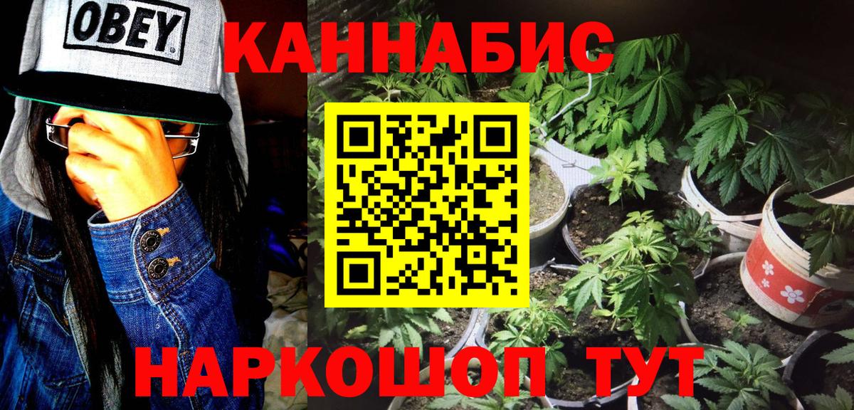 Марихуана Bruce Banner  Вход с VPN  Бошки марихуана индика  Канабис сатива  Сыктывкар 